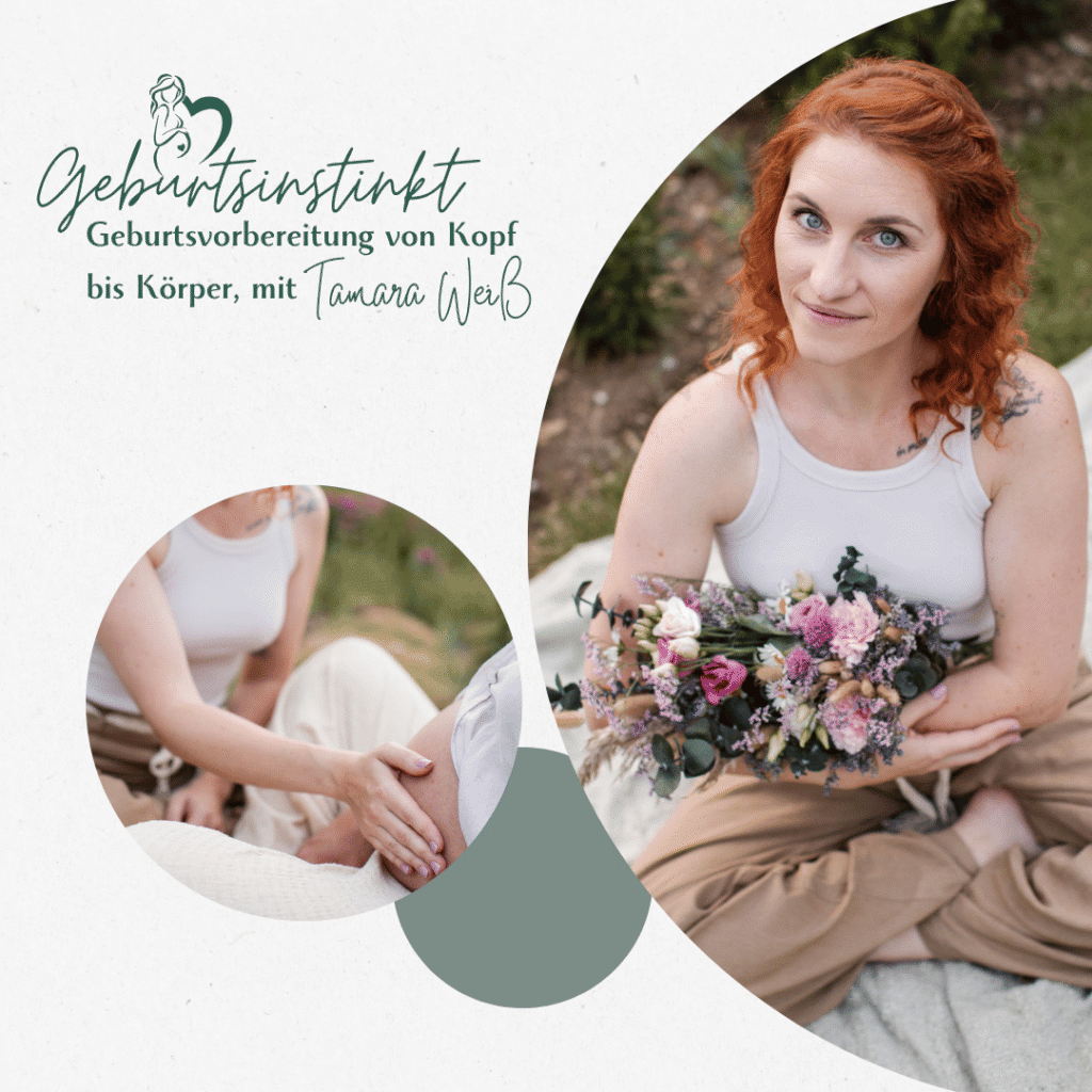 cover (1)